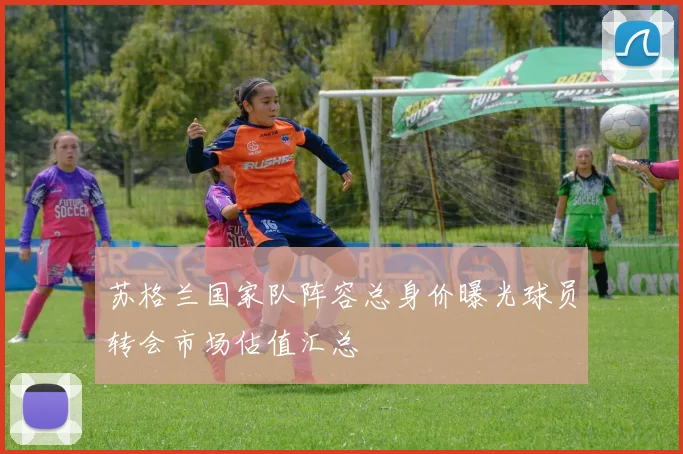 苏格兰国家队阵容总身价曝光球员转会市场估值汇总