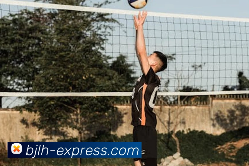 星空平台登录入口发展历程